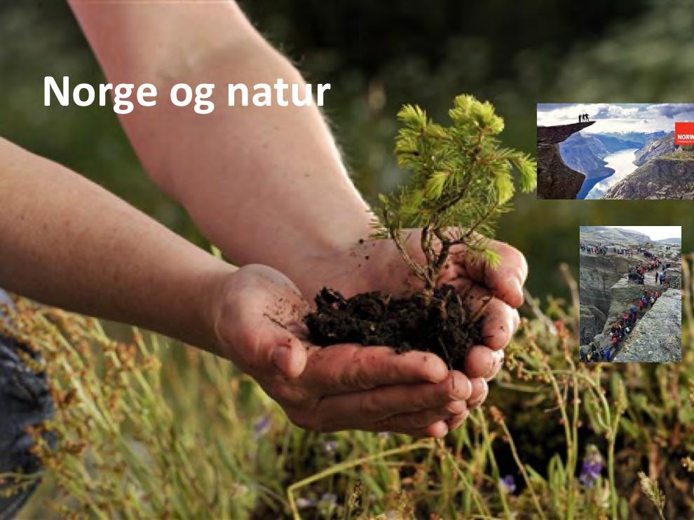 Natur er synonymt med Norge. De1e er troverdig og vi har mye av det.
