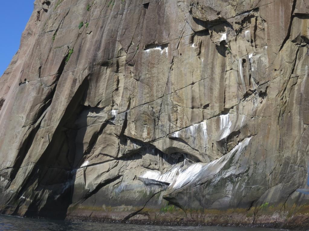 4 VURDERINGER Hekkebestander Telleresultatet gir etter vår vurdering et godt bilde på sammensetning og volum på sjøfuglbestan- dene i utredningsområdet for planlagte Lofotodden nasjonalpark.