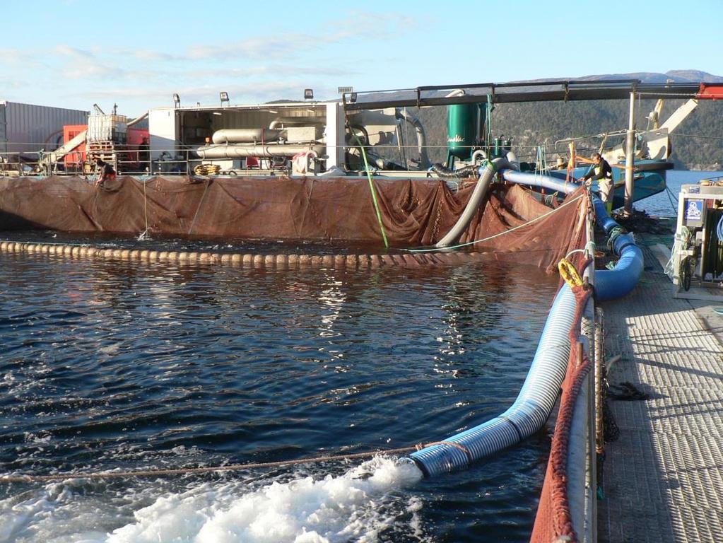 Mekanisk avlusning Flatsetsund avluser (vann) SkaMik AS (vann