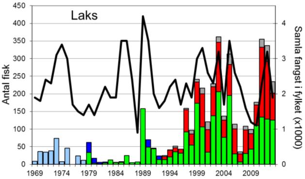 Fangststatistikk FANGST OG SKJELPRØVAR I DALEELVA I perioden 1969-2013 var gjennomsnittleg årsfangst 96 laks og 309 sjøaurar.