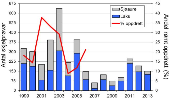 I 2013 vart det fanga 235 laks (snittvekt 3,5 kg), 48 % av desse vart sette ut att. Etter nokre år med rekordstore fangstar av sjøaure, har det gått jamt nedover.