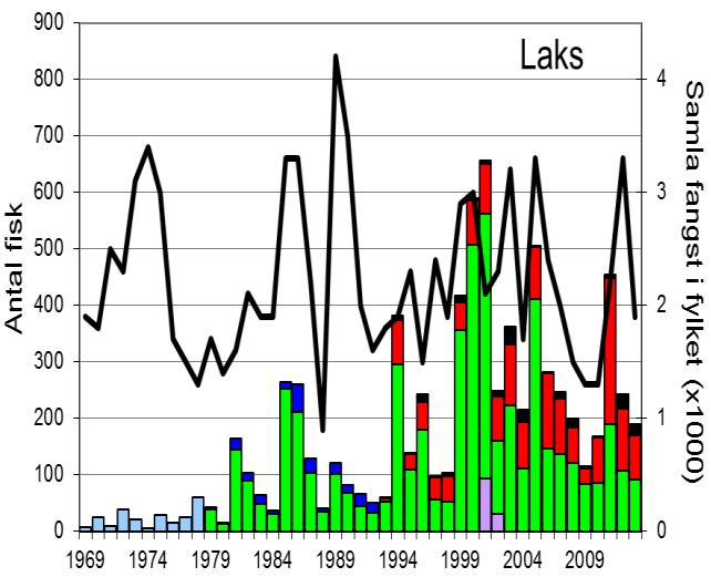 Fangststatistikk FANGST OG SKJELPRØVAR I OSELVA Gjennomsnittleg fangst av laks i perioden 1969-2013 er 168 (snittvekt 2,5 kg).