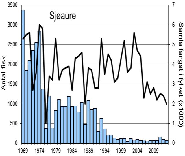 I perioden 1969-2000 var gjennomsnittleg årsfangst 33 laks (snittvekt 4,9 kg). Villaksen har vore freda f.o.m. 2001, fangstane av laks etter dette er rømt oppdrettslaks eller gjenutsett villaks.