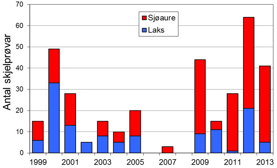 Det er ingen klar samanheng mellom variasjon i fangst i Granvinselva og resten av fylket, korkje for laks eller sjøaure (figur 1, linjer). Skjell 2013 FIGUR 1.