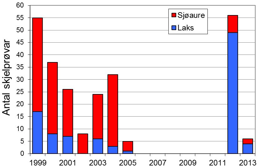 Det er ingen klar samanheng mellom fangstutviklinga i Omvikelva og resten av fylket, korkje for laks eller sjøaure (figur 1, linjer), men den reduserte laksefangsten frå 2012 til 2013 stemmer med