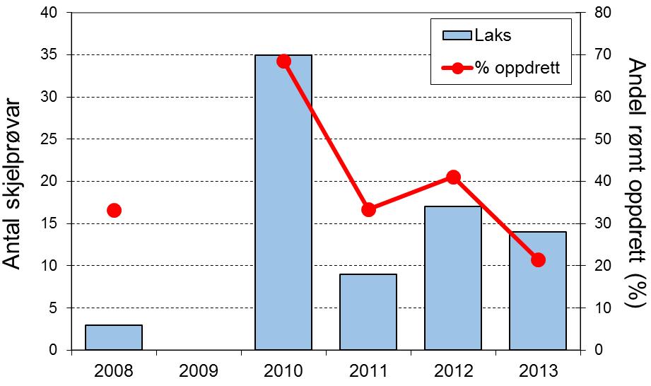 Sjøaurefangstane har auka i løpet av perioden, sjølv om fangstane i 2012 og 2013 (høvesvis 68 og 71 sjøaure) var lågare enn dei to føregåande åra. I 2010 og 2012 vart ca.