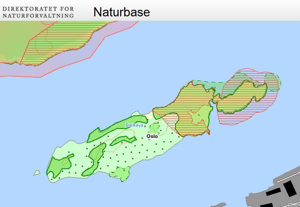 Reguleringsplan for Bleikøya Flere naturtyper av regional verdi og prioritert