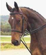 Alle hjelpetøyler (unntatt martingal) brukes for å få hesten til å arbeide i riktig form ved at hesten trår lenger innunder seg, hever ryggen og bøyer nakken.