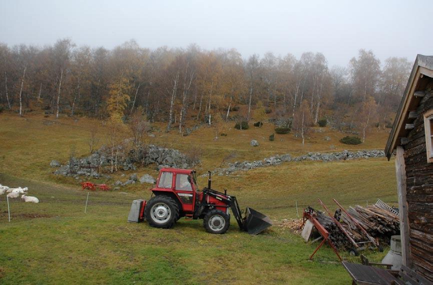 Slåttemarkslokaliteten Sørre Hemsing med Sørre Bakkin bak traktoren.