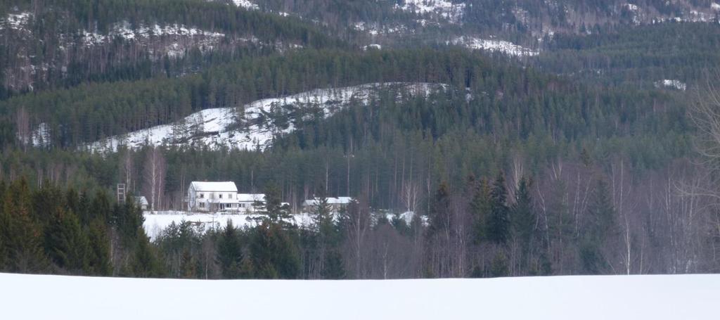 ar plan & landskap as 22.03.2017 Zoom fra fylkesveien på vestsida av Lågen sør for Haugen gård.