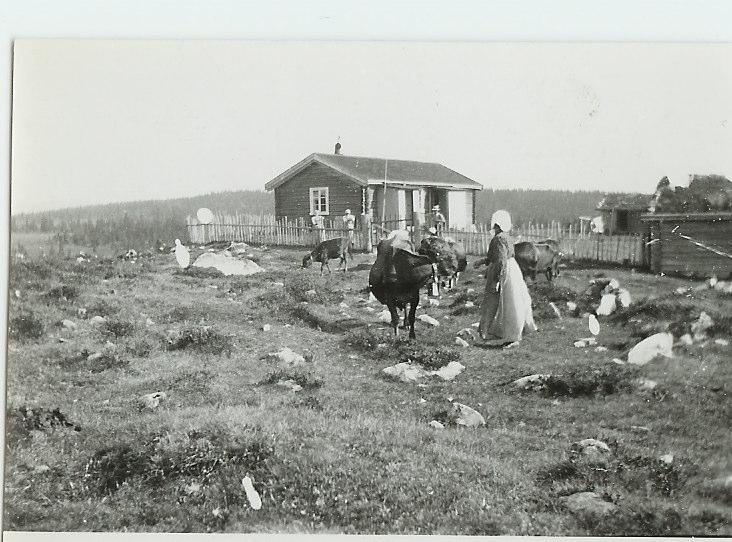 En part av Messelttrøa, på nordsiden av Søkkunda. Eiere Ragnhild og Thoralf Mykleby, 2450 Rena. Thoralf er født på Mykleby i Stor-Elvdal 8.7.1941, sønn av Thora (f.1901-d.1960) og Torgal T.