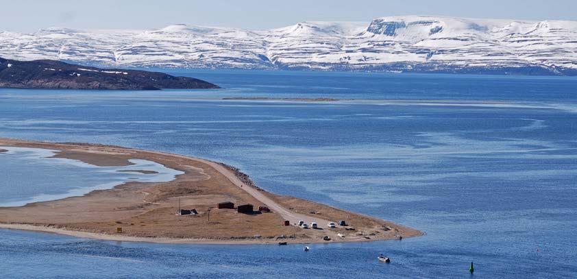 Ved storflo sjø går vannet helt inn til veien. Fugler hekker like ved veien. Vær forsiktig når du går langs veien i hekketiden slik at du ikke tråkker på reir eller fugleunger. Foto: Øystein Hauge. 6.