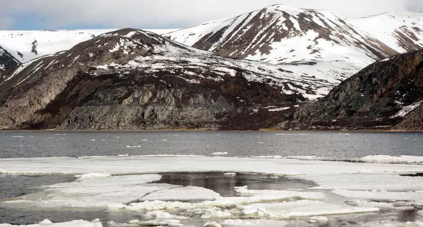 8. Vannområder Tanaelva går opp rundt 17. mai og sender store mengder ferskvannsis ut i Tanafjorden. Denne isen kan bli liggende en stund i naturreservatet.