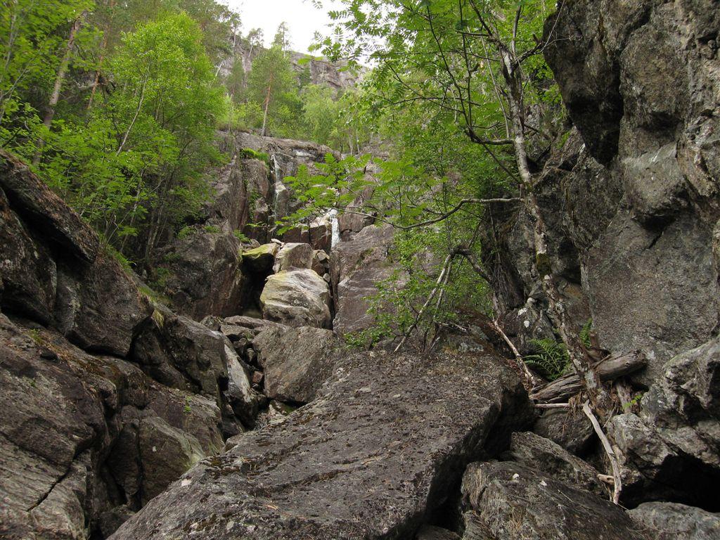 Klepsland Blåbær-eikeskog,