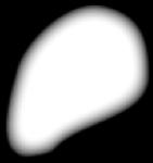 Sirius Altair Superkjemper Kefeider Sola Ceti Polaris Procyon Kjemper Pollux Centauri A Antares