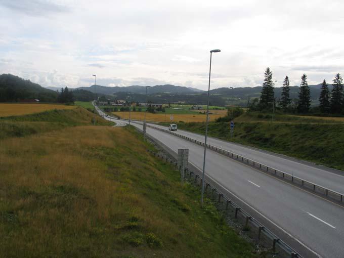 1. INNLEDNING 1.1 BAKGRUNN Det planlegges å bygge ny E6 på strekningen Håggåtunnelen Skjerdingstad i Melhus kommune. Strekningen er ca 25 km lang.