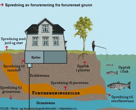 Inntruffet forurensning Ulovlig forurensning Plikt til å treffe tiltak, 7( 2) og (4), og erstatning Grunnlag for omgjøring Grunnlag for stansning Straff