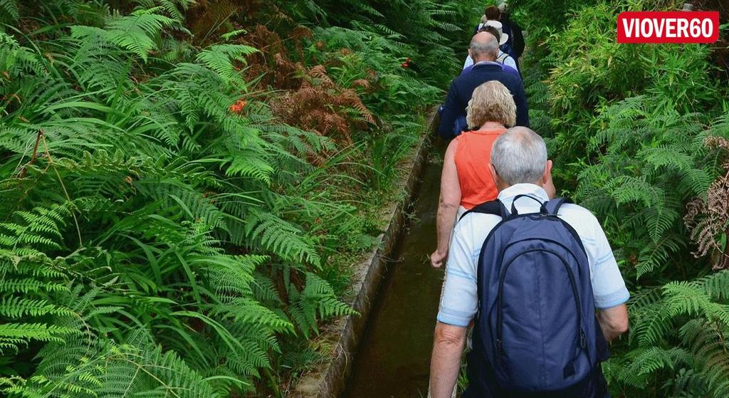 1 LEVADAVANDRING MADEIRA Madeira er turgåernes Mekka, og den aller beste måten å bli kjent med øyas vakre og ville natur er å vandre langs levadaene.