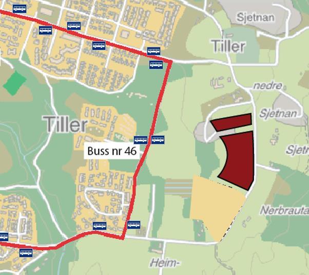 Side 5 av 9 Figur 4 Bussholdeplasser. Kilde: ATB 2.4 Trafikksikkerhet / gang- og sykkeltrafikk Planområdet ligger i nær tilknytning til skoler, barnehager og handel- og service på Tiller.