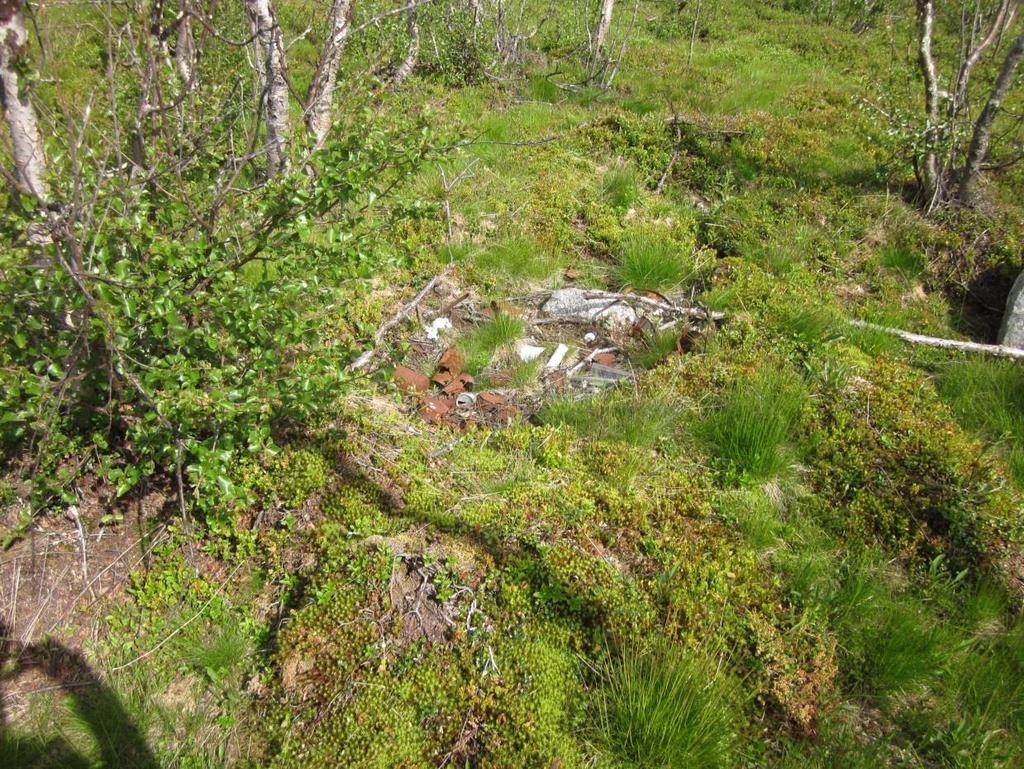 Vedlegg 1: Wigelius-slektas gammetufter i Stuorramaras-området Sommeren 2015 dokumenterte jeg gammeplassene til vår slekt.