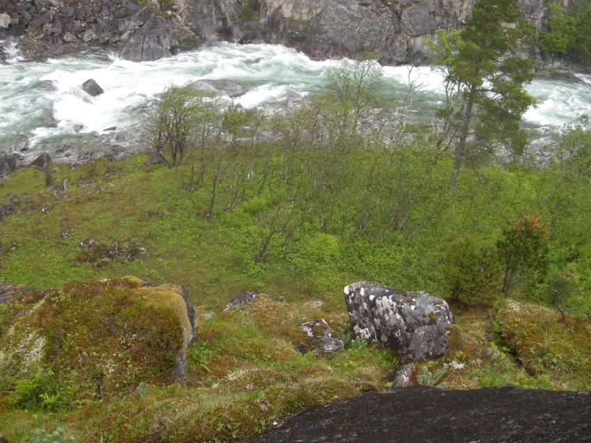 30 Bilder #1 3. Overganger mellom åpen fosse-eng (T15) og tilstøtende fosserøykinfluert skogsmark (T4; VS a), dominert henholdsvis av furu (Bilde #1, øverst) og bjørk (Bilde #2, i midten).