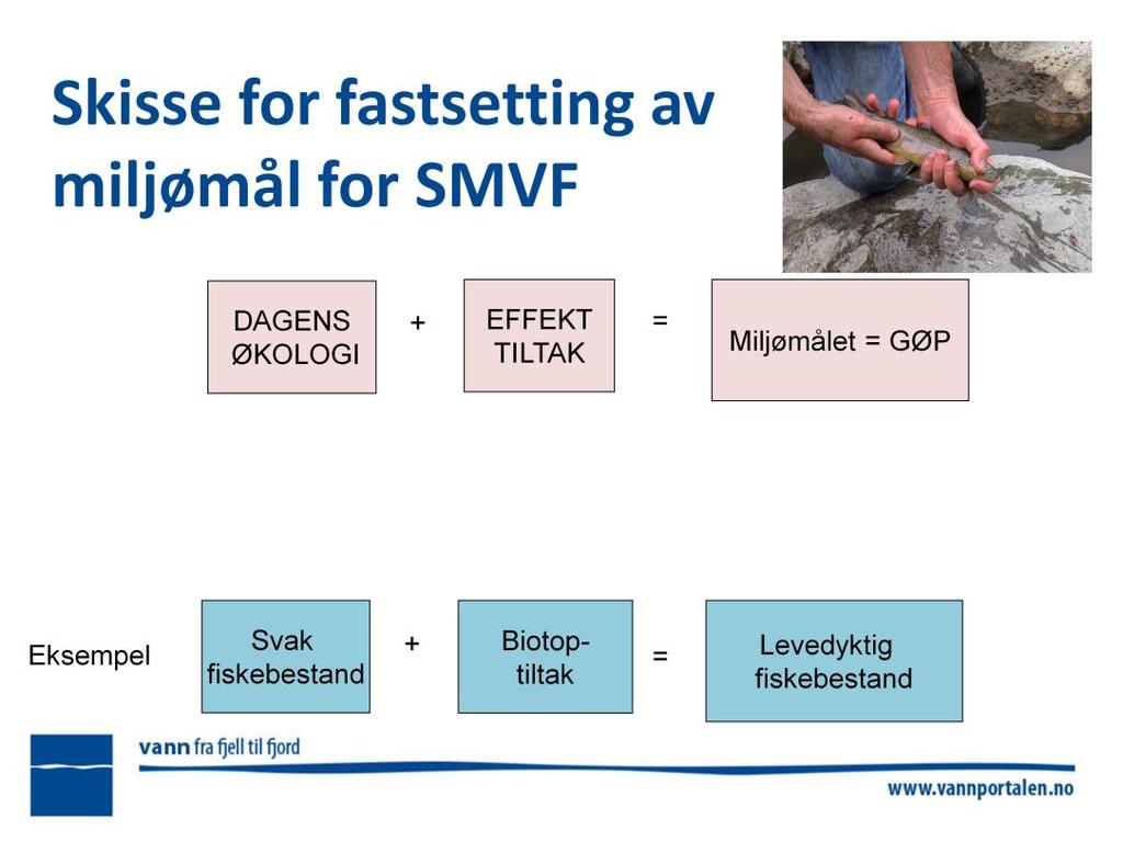 Miljømålet for en SMVF den økologien som er estimert til å være i vannforekomsten når alle realistiske tiltak er gjennomført!