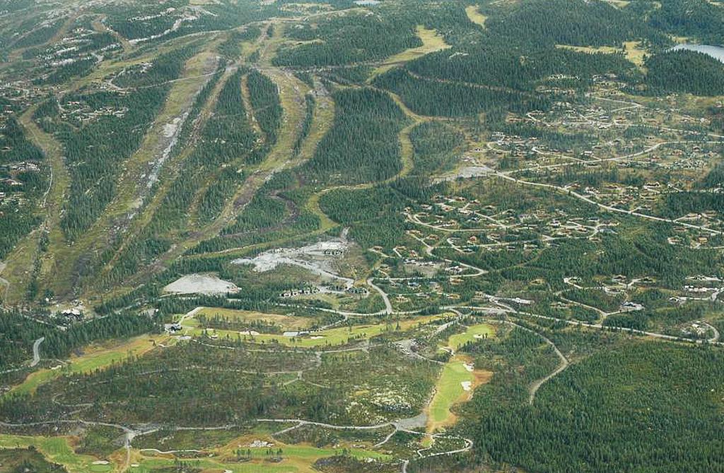 Under 17 mil fra Oslo slipper du den siste timen i bil til Geilo eller Hemsedal Hyttene i området skal tilby fjelldrømmen til en fornuftig pris.