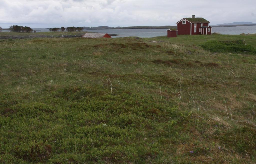 VEDLEGG 2 Bilder Bilde 1. Lokalitet 1. Slåttemarka mellom fjøs og nordlandshus.