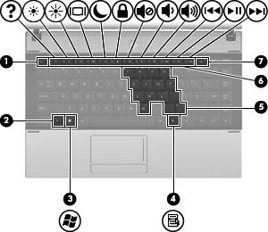 Taster MERK: Se på illustrasjonen og tabellen som samsvarer best med datamaskinen din. Komponent Beskrivelse (1) esc-tast Viser systeminformasjon når du trykker på den og fn-tasten samtidig.