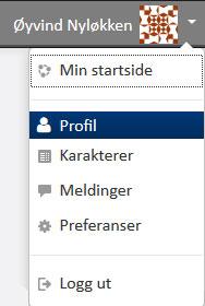 Velg pinkode og klikk på Generer hurtigtilgangslenke i bildet som kommer opp. Fortell mer om deg selv i profilen din Velg Profil under navnet ditt.