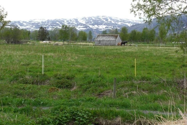 Klassifikasjonssystemet er imidlertid laget for større vannforekomster og med utgangspunkt i stikkprøver (utenom flom- og tørkeperioder) og bør derfor ikke brukes direkte til klassifisering av mindre