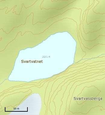 4.40 Svartvatnet Det foreligger dårlig datagrunnlag fra lokaliteten. Opplysningene stammer fra to besøk, henholdsvis 7. mai og 26.