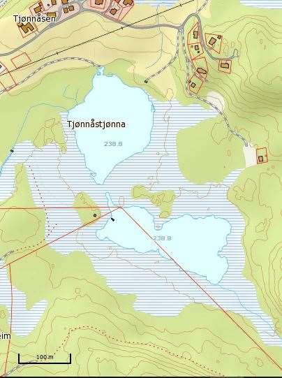 4.41 Tjønnåstjønna Tjønnåstjønna er delt i ei nordre og ei søndre tjønn med samme navn. Det foreligger relativt dårlig datagrunnlag fra lokaliteten.