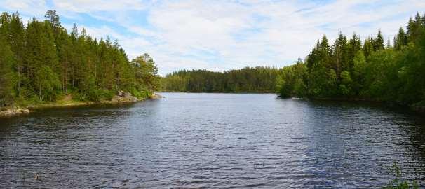 halvøy i Vulusjøen, 20.