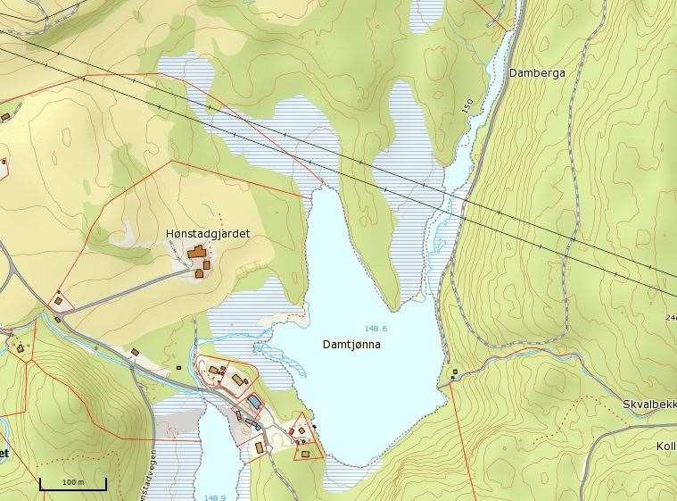 4.05 Damvatnet ved Hønstad Damvatnet er også gjengitt som Damtjønna på noen kart. Det foreligger middels godt datagrunnlag over vannfuglforekomstene ved lokaliteten.