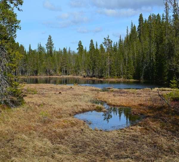 sett mot nord, 16. mai 2016.