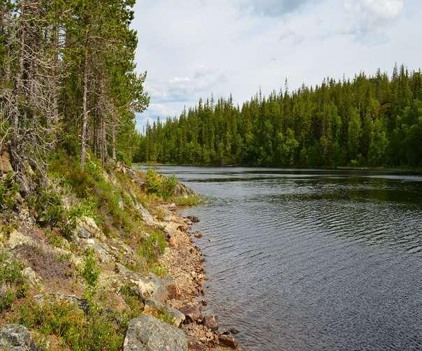 Figur 113. Østre del av Jovatnet sett fra nordvest 20. juni 2016. 4.19 Store- og Litle Jøssåstjønna Lokaliteten er også gjengitt som Jøssåsvatnet på noen kart.