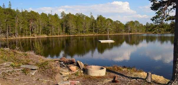 Nordlige del av Nyvatnet sett