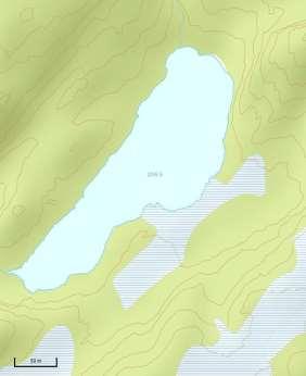 4.02 Bjørndalsvatnet Det foreligger svært dårlig datagrunnlag fra Bjørndalsvatnet. Opplysningene stammer fra to besøk i 2016.