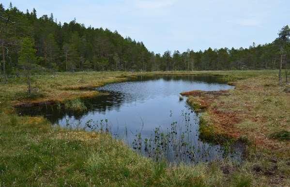 observasjoner pr. dags dato.