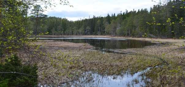 Nordre del av Røsttjønna,