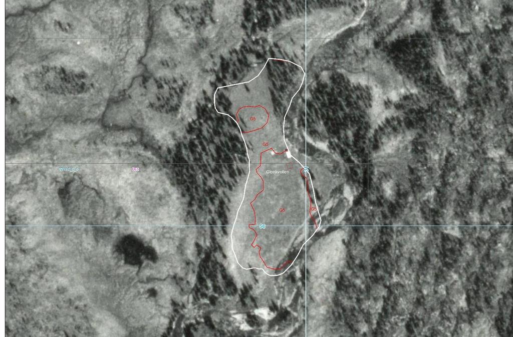 Kart/ortofoto Glonkvollen i Øvre Forra naturreservat i 1964 (øverst) og 2009 (nederst).