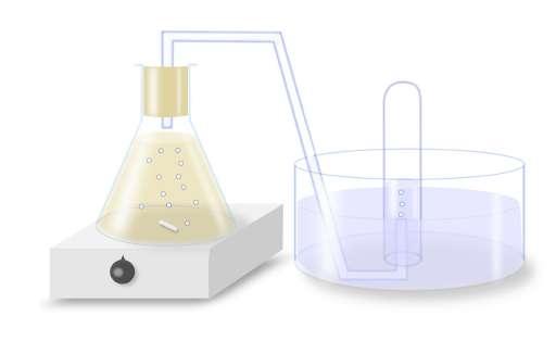 Изведена су три експеримента у течној средини смештеној у ерленмајеру који омогућује прикупљање евентуално ослобођеног гаса из мешавине: - квасца + соли + воде, - квасца + шећера + воде, - квасца +