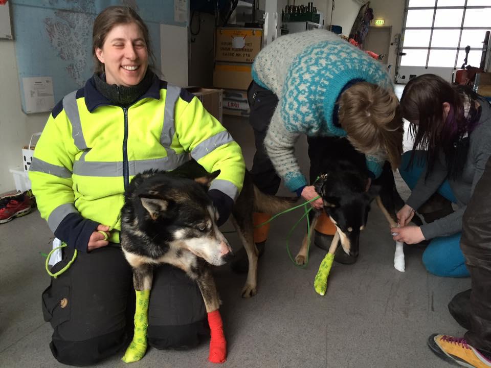 Reodor Felgen Ikke arrangert 2016. Foredrag og kurs Det ble i mai holdt gratis kurs av Svalbard Vet om førstehjelp for hund.