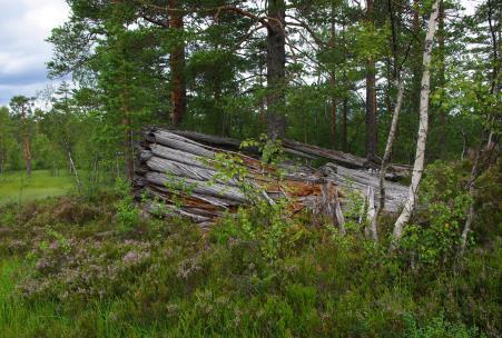 Medan innmarka for det meste blei bruka til åkerland og noko engslått og beite, var det utmarka som stod for det meste av fôrhaustinga.