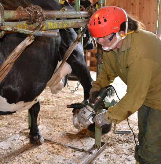 dine jevnlig. Rjukan VVS & Elektro AS valget er lett!