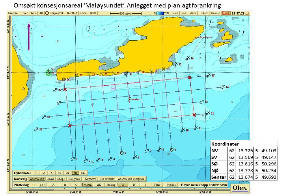 TANGO Seaweed, Søknad Akvakultur Lokalitet Måløysundet 1267074, Nov. 2016 13 6. Anleggsskisse Anlegget vil bli konsipert etter Hortimare sitt system (Solund kommune).