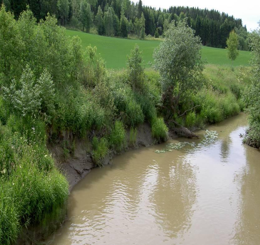 Forside Ansvar- Tidsfrister Setter veilederen i relasjon til