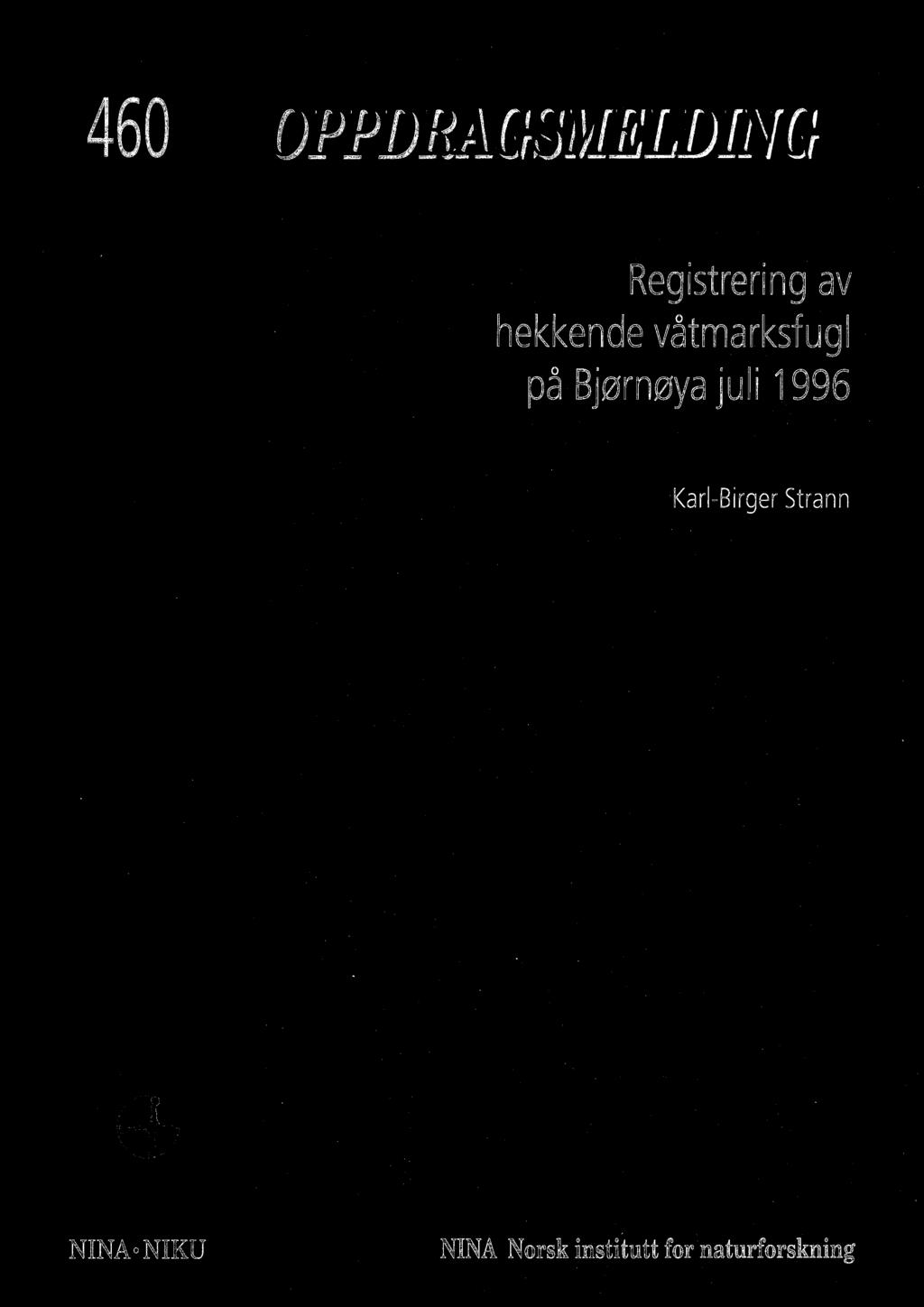 juli 1996 Karl-Birger Strann NINA.