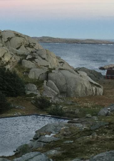 mens den nye er i betong med fremkant i tre. Her er en rampe felt inn i brygga for å øke tilgjengeligheten. Naturtypen på holmen betegnes som kystlynghei. Det blir beitet med tamsau.